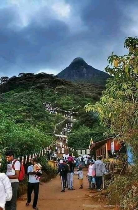 Lily Adam'S Peak Bed & Breakfast Nallathanniya Luaran gambar