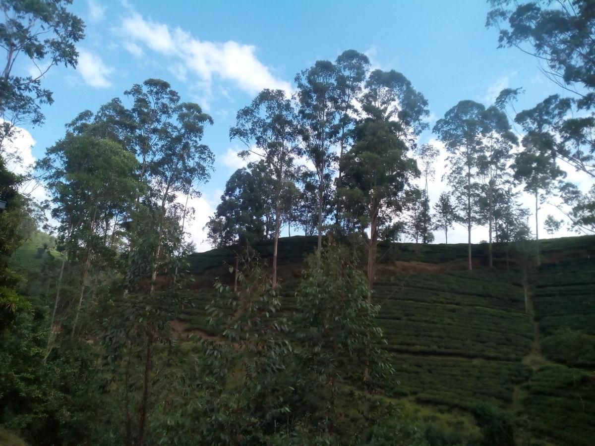Lily Adam'S Peak Bed & Breakfast Nallathanniya Luaran gambar