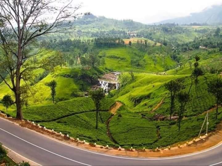 Lily Adam'S Peak Bed & Breakfast Nallathanniya Luaran gambar