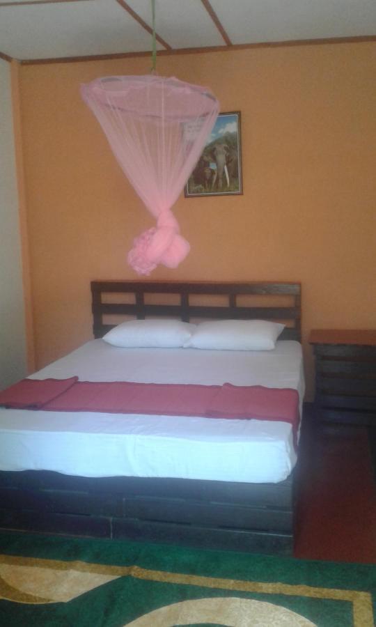 Lily Adam'S Peak Bed & Breakfast Nallathanniya Luaran gambar